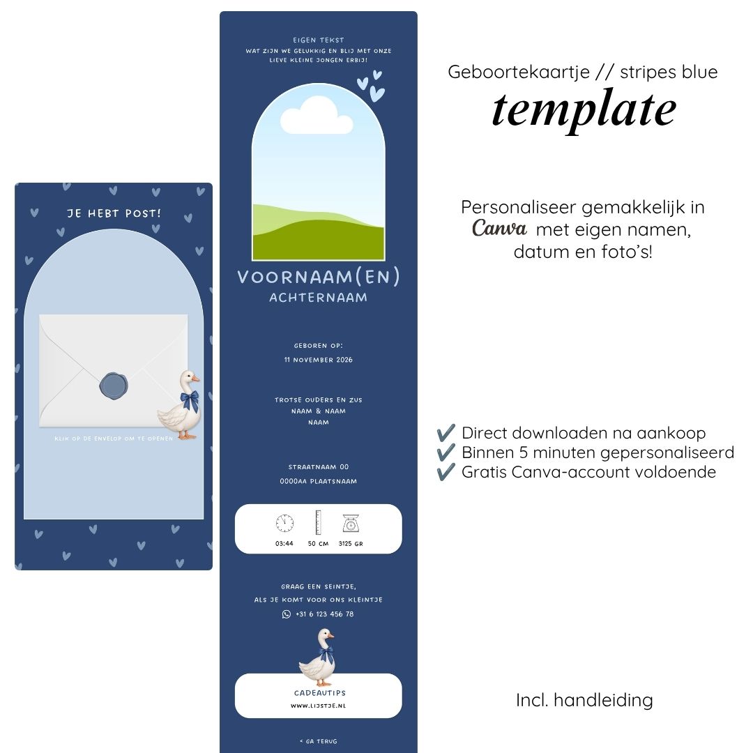 Geboortekaartje // Goose Blue